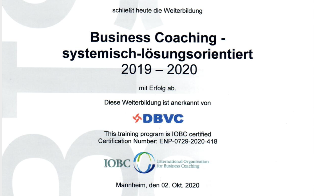 Business Coaching: Potentials & solution competencies