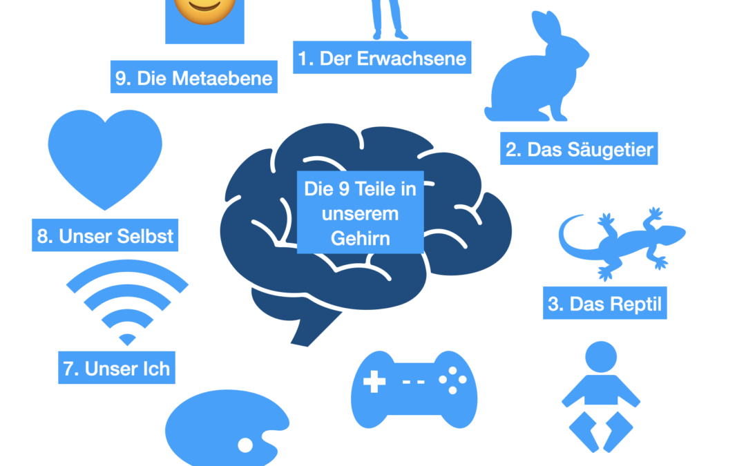 Wieso sind Sie aus neurologischer Sicht nie alleine⁉️