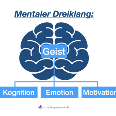 Wie entsteht eigentlich Ihre Persönlichkeit⁉️